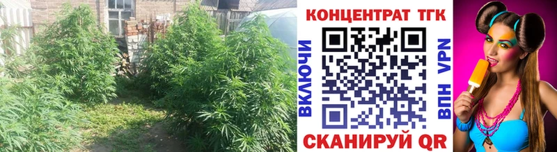 наркотики  Медынь  мега зеркало  shop какой сайт  ТГК вейп 