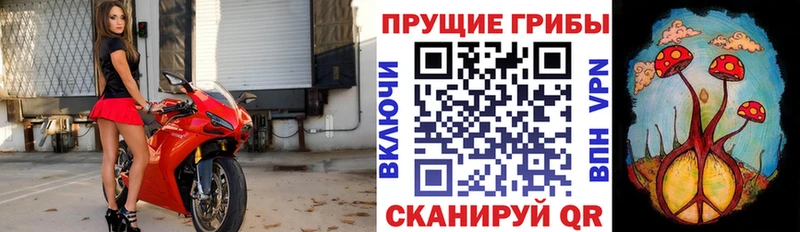 Галлюциногенные грибы Magic Shrooms  Медынь 